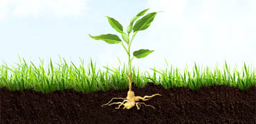 山西土壤污染狀況修復報告